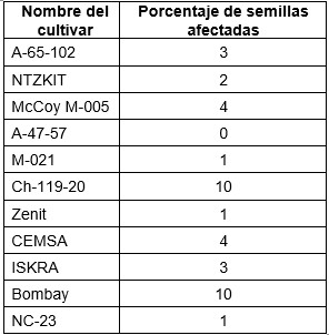 Incidencia de Aspergillus flavus en condiciones naturales.