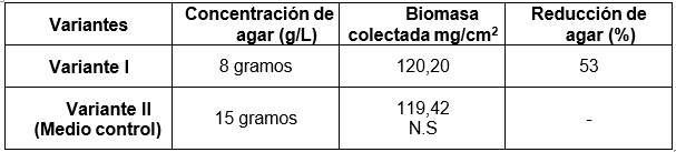 Obtención de biomasa bacteriana y efecto de la reducción de agar como base del sistema SPAS (primera cosecha).
