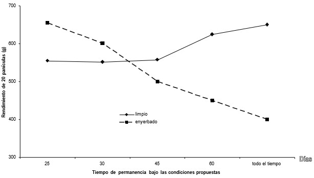 Relación entre la competencia de malezas y los rendimientos de grano. Período crítico de competencia de las malezas con el cultivo del millo.
