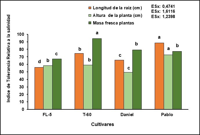 Evaluación de la tolerancia relativa a la salinidad en presencia de 50 mM de NaCl y un testigo absoluto de los cultivares de tomate (Solanum lycopersicum L.) seleccionados en el ensayo anterior: ‘FL-5’ y ‘T-60’ procedentes del INIFAT y ‘Daniel’ y ‘Pablo’ del IIHLD, a los 15 días de la germinación. Letras diferentes indican diferencias significativas según la prueba de Rangos Múltiples de Duncan.