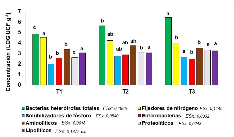 Presencia de grupos microbianos en los sustratos utilizados en la producción de posturas. Medias con letras distintas difieren estadísticamente según ANOVA con Prueba de Rangos Múltiples de Duncan (5 % de probabilidad de error). ns: no diferencias significativas. T1: suelo-SR-estiércol vacuno; T2: suelo-SR-estiércol cunícola; T3: suelo-humus de lombriz. SR: sustrato residual de la producción de Pleurotus sp.