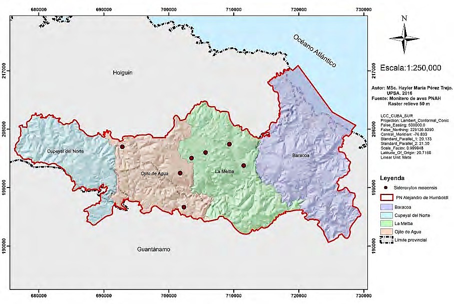 Distribución geográfica de algunas poblaciones de Sideroxylon moaense en la Sierra de Moa y Yateras, en el interior del Parque Nacional Alejandro de Humboldt. (Cortesía la UPSA CITMA Guantánamo)