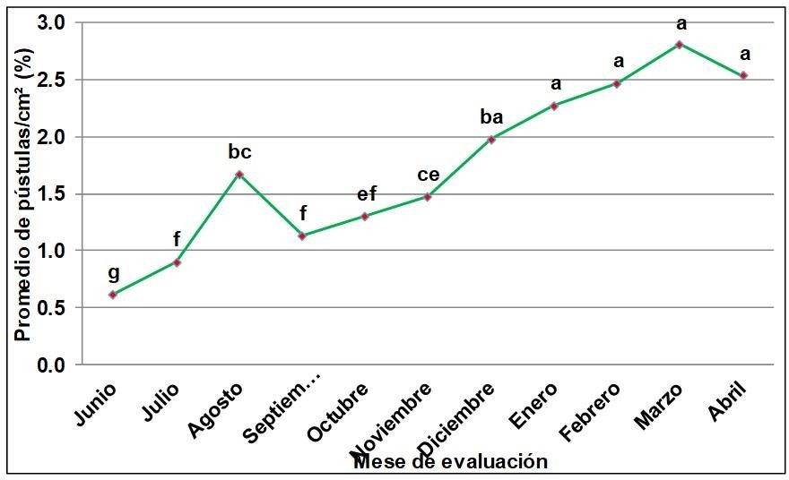 Resultados del análisis de varianza de clasificación simple por rangos mediante la prueba de Kruskal-Wallis considerando la cantidad promedio de pústulas de roya naranja y los meses del año evaluados. Letras iguales no difieren significativamente según Prueba de Kruskal-Wallis (p<0,01).