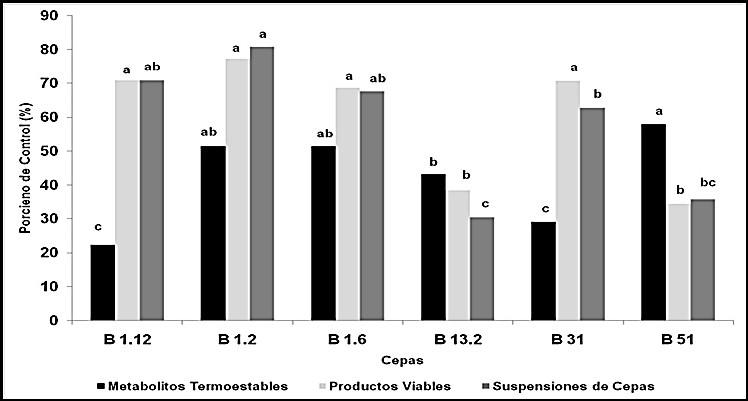 Comportamiento de Cladosporium oxysporum frente a distintas fracciones metabólicas de las cepas seleccionadas.