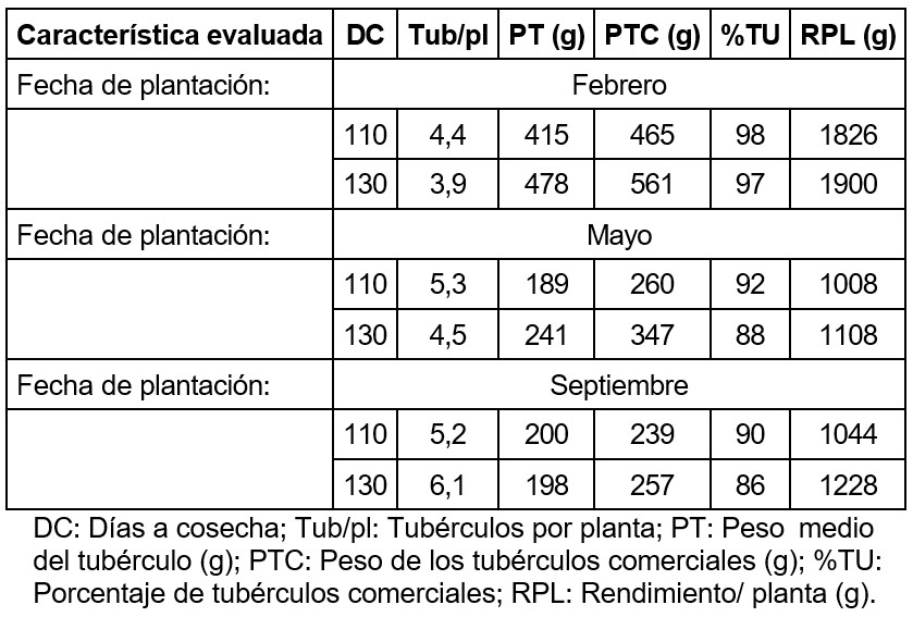 Características del clon de boniato INIFAT 06-30 en las plantaciones de febrero, mayo y septiembre del año 2007.