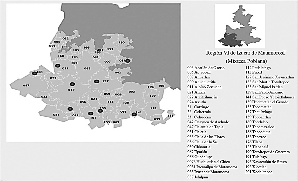 Mapa de la Mixteca Poblana con su ubicación dentro del estado de Puebla y la localización de los nueve municipios con actividad de producción papayera