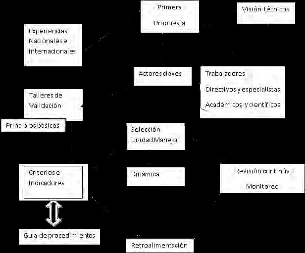 Metodología propuesta para la construcción de sistemas de Criterios e Indicadores en la evaluación realizada.