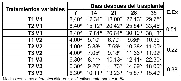 Comportamiento de las variables número (V1), ancho (V2) y longitud de las hojas (V3) de plantas de Lechuga con la aplicación de Fitomas E y Bioplasma desde los 7 hasta los 35 días.