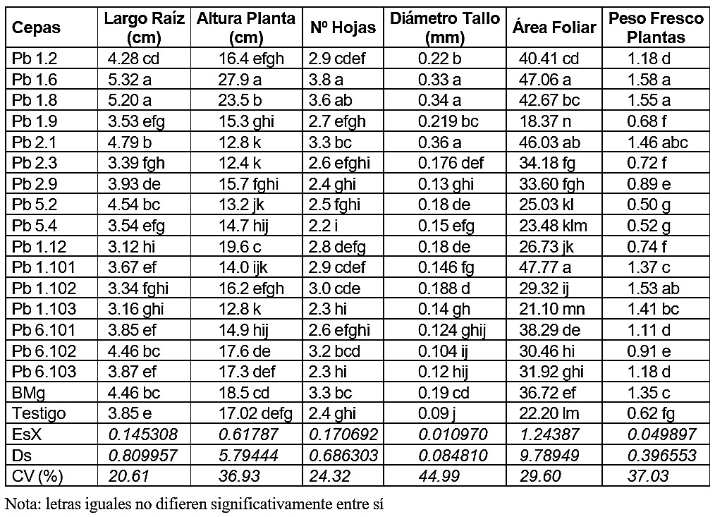 Selección de cepas solubilizadoras de fósforo en posturas de tomate sobre suelo ácido.