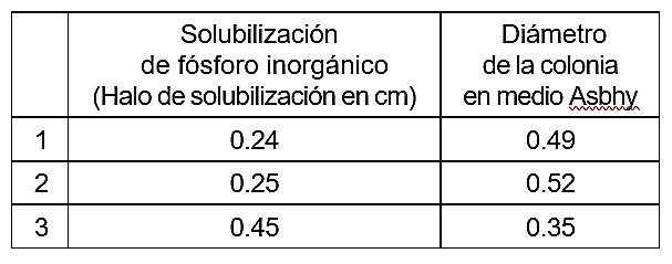 Potencial metabólico «in vitro» de los tres microorganismos del suelo aislados del Macizo Montañoso de Guamuhaya