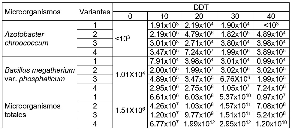 Concentración de Azotobacter chroococcum, Bacillus megatherium var. phosphaticum y microorganismos totales. (ufc/g de suelo).