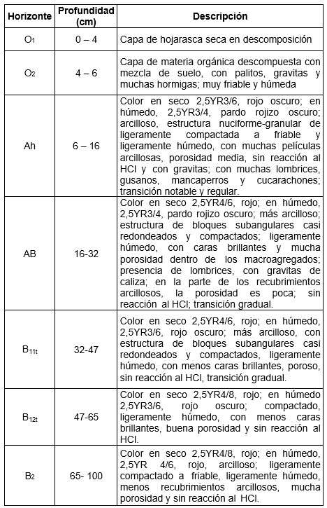 Descripción del perfil P-1