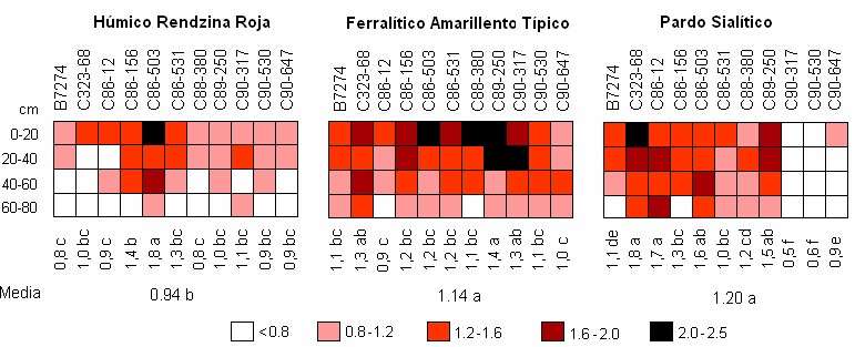 Diámetro relativo de las raíces y su distribución en el perfil del suelo (mm).