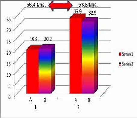 Número y peso de los frutos. Serie 1. Número de los frutos, Serie 2. Peso de los frutos por planta. A. Tratamiento orgánico, B. Tratamiento con fertilización química y orgánica combinada.