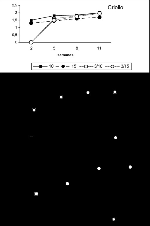 Desarrollo de los microbulbillos  (DM) de los clones Criollo, Vietnamita  y Chileno en diferentes concentraciones de sacarosa durante el precultivo (24±2ºC, antes de la conservación a 5-6ºC). (DM: valor promedio según la escala: 1<0.5; 2: 0.5-1cm; 3: >1cm de diámetro).