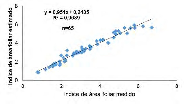 Relación encontrada entre el LAI medido y el estimado.