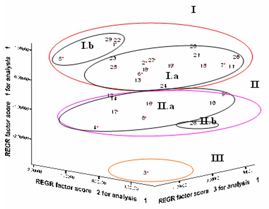 Agrupaciones de los actores locales teniendo en cuenta la interacción del C1-C2- C3.