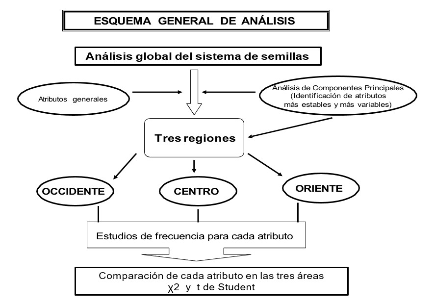 Esquema general de análisis.
