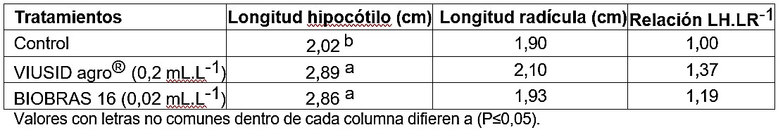 Características morfológicas de las plántulas obtenidas de Medicago sativa var. ´Gilboa´