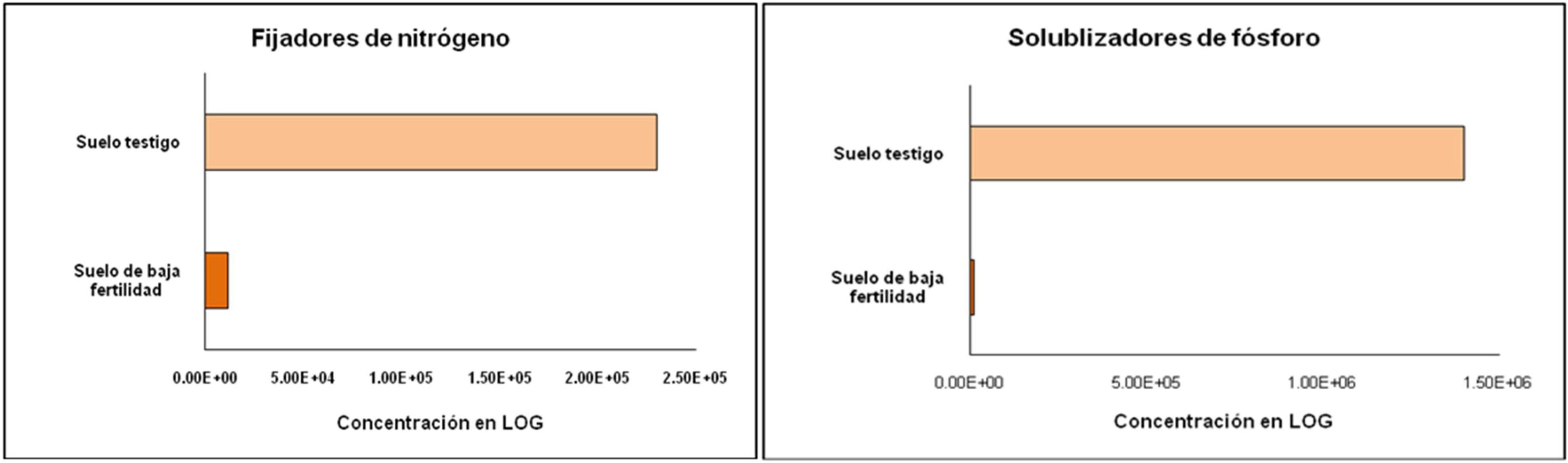 Concentración de microorganismos fijadores de nitrógeno y solubilizadores de fosfato de calcio en muestras de suelo del Lote 3 del INIFAT y de cerca del bosque de la Institución