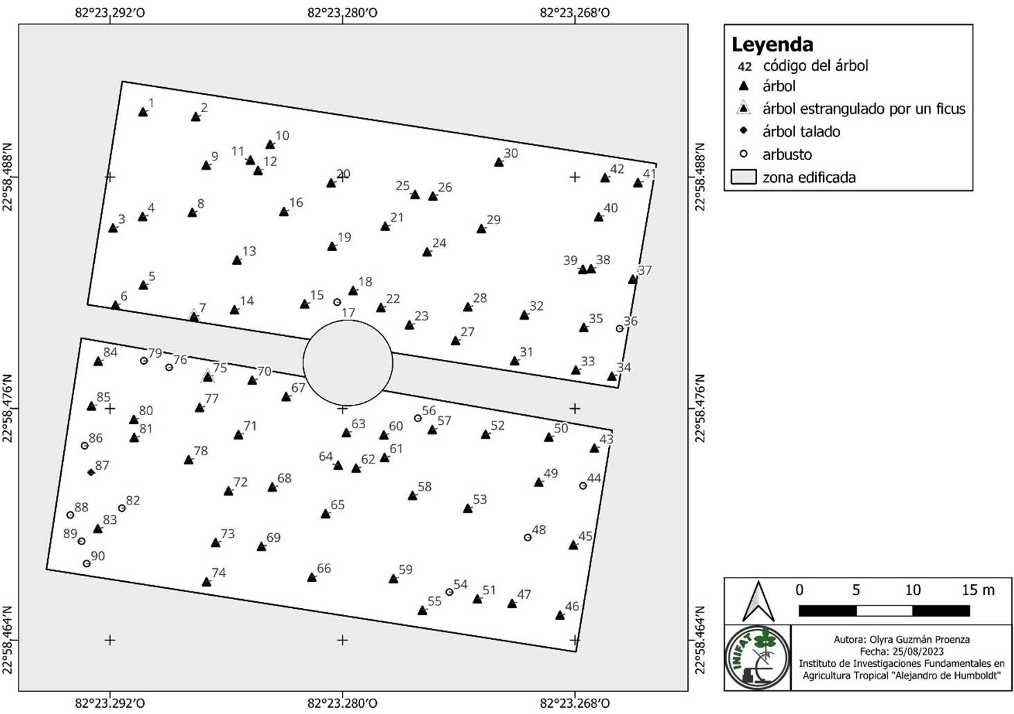 Mapa de la colección histórica del Palmetum