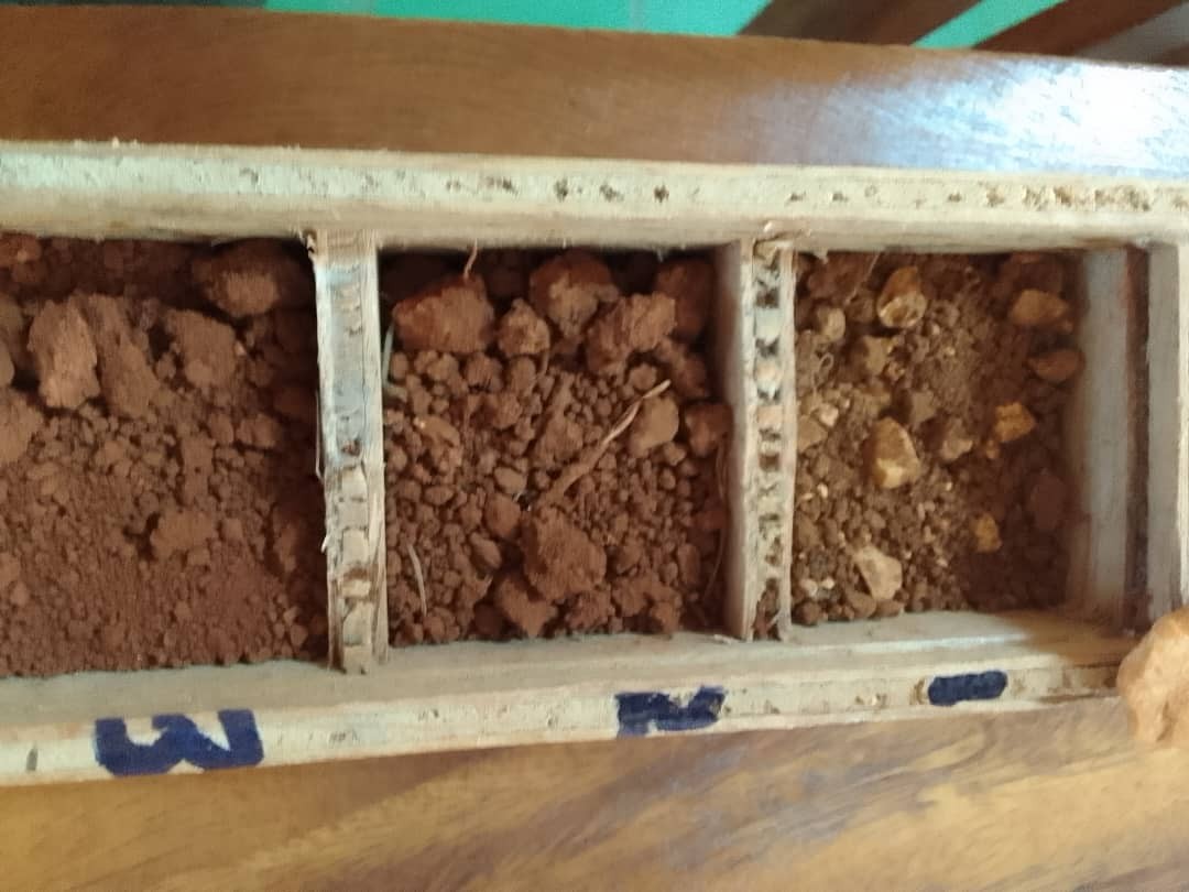 La estructura de la capa superficial de las 3 fincas (1-Villegas, 2-La Rebeca y 3-Santa Ana)