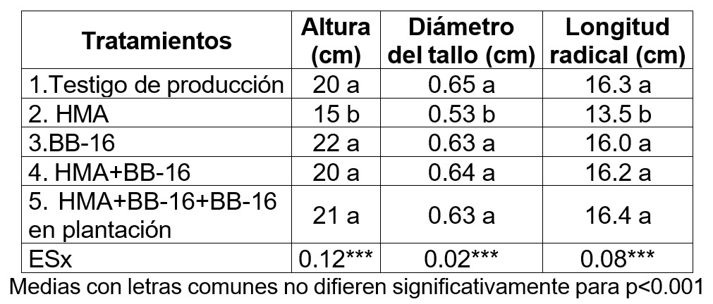 Efectos en el crecimiento de las posturas.