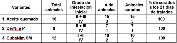 Acción curativa de productos derivados del nim sobre la sarna en cerdo