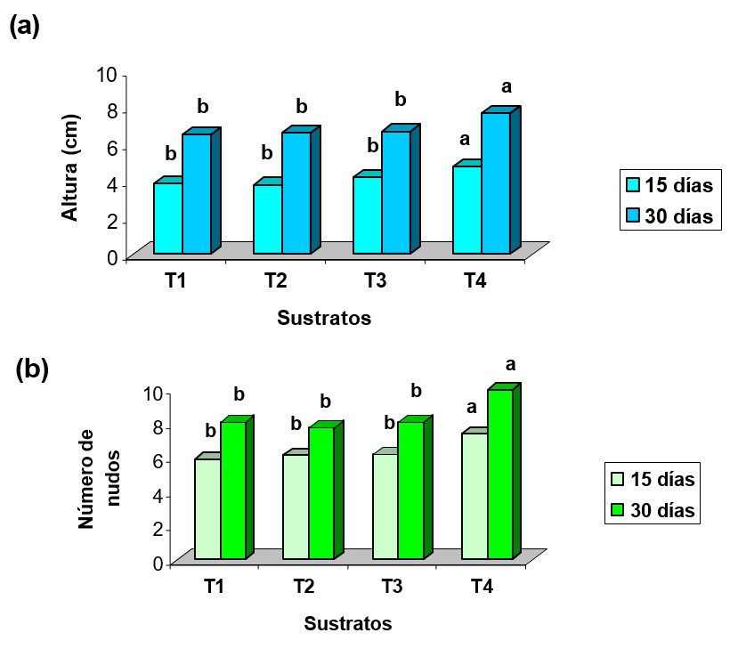 Variación de la altura (a) y el número de nudos (b), en dependencia de la edad y los sustratos (T1.- 100 % de suelo Ferralítico Rojo; T2.- 50 % de suelo y 50 % de cachaza; T3.- 50 % de suelo, 25 % de cachaza y 25 % de cascarilla de arroz y T4.- 25 % de suelo, 50 % de cachaza y 25 % de cascarilla de arroz). Letras desiguales difieren al 5 % de significación